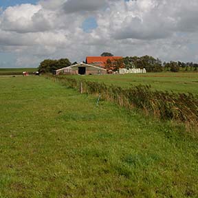 zorgboerderij-dijkgatshoeve-wieringerwerf-antroposofie