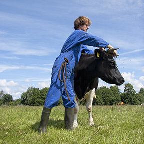 Vacatures-Biodynamische-zorgboerderij-Noorderhoeve-Schoorl