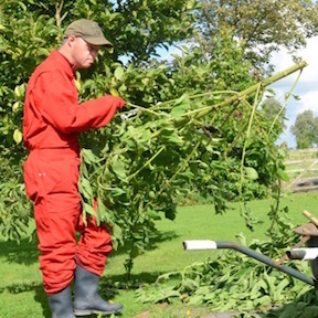 zorgtuinderij-ygdrasil-sijbekarspel-dagbesteding